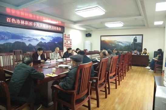 ��ɫ���ֿ����ٿ�����ʮ�Ŵ���ѧϰ���ۻ�