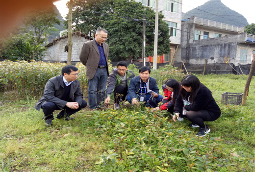 ��������ʵ�غ˲���ľ