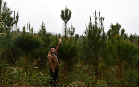 ʾ����Ŀ��ľ����ϲ��