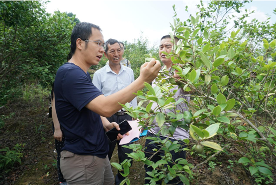 ���������������Ͳ�ʾ�����ص���