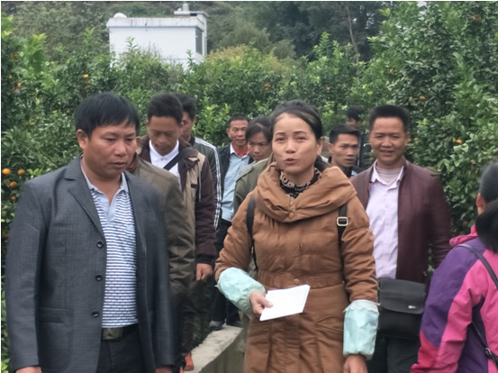 ͼΪ���ϴ��֧������Ӣ����ɳ�ǽ���ֲ����������