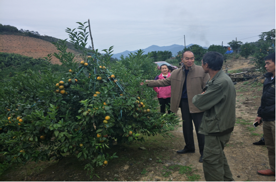 ͼΪ�������ָ���ֲ���ع���Ա���ҷ����ָ���ֲ��������