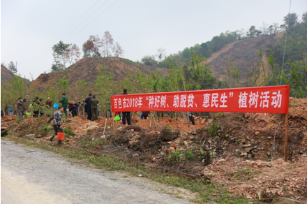 ����ֲ����ֳ�