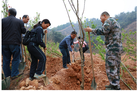 ����ҵ�ָɲ�ְ��������ֲ����