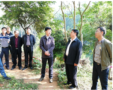 ͼΪ���Լḱ�г���������ʵ�ز鿴�����ֳ������������