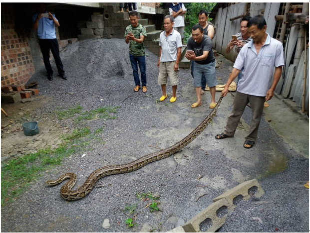 ͼΪ���ﶫ��ӡ����������С���ͷ��ֵ�����