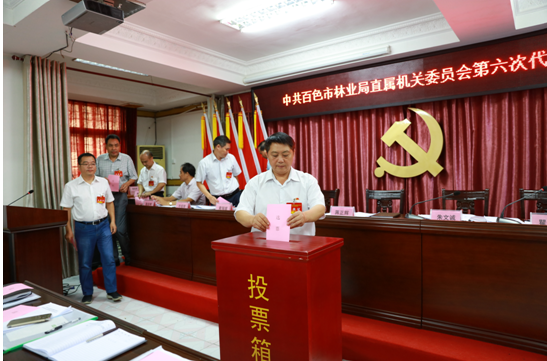 ͼΪ��������ͶƱѡ��