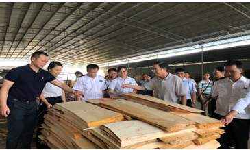 ��ľ�ļ��мӹ�����չ�������μ���ִ���