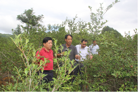 ��ά��һ�����¼���˫����Ͳ�ʾ�����ؿ���