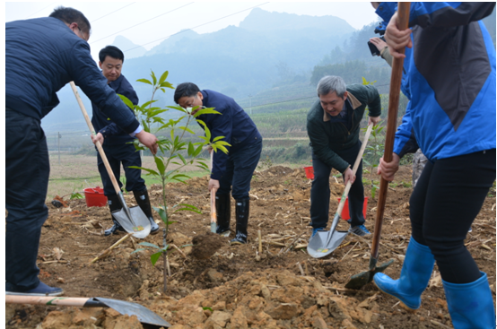 ��������ί��ί�����鳤����Ϊ���ֵ�â��������